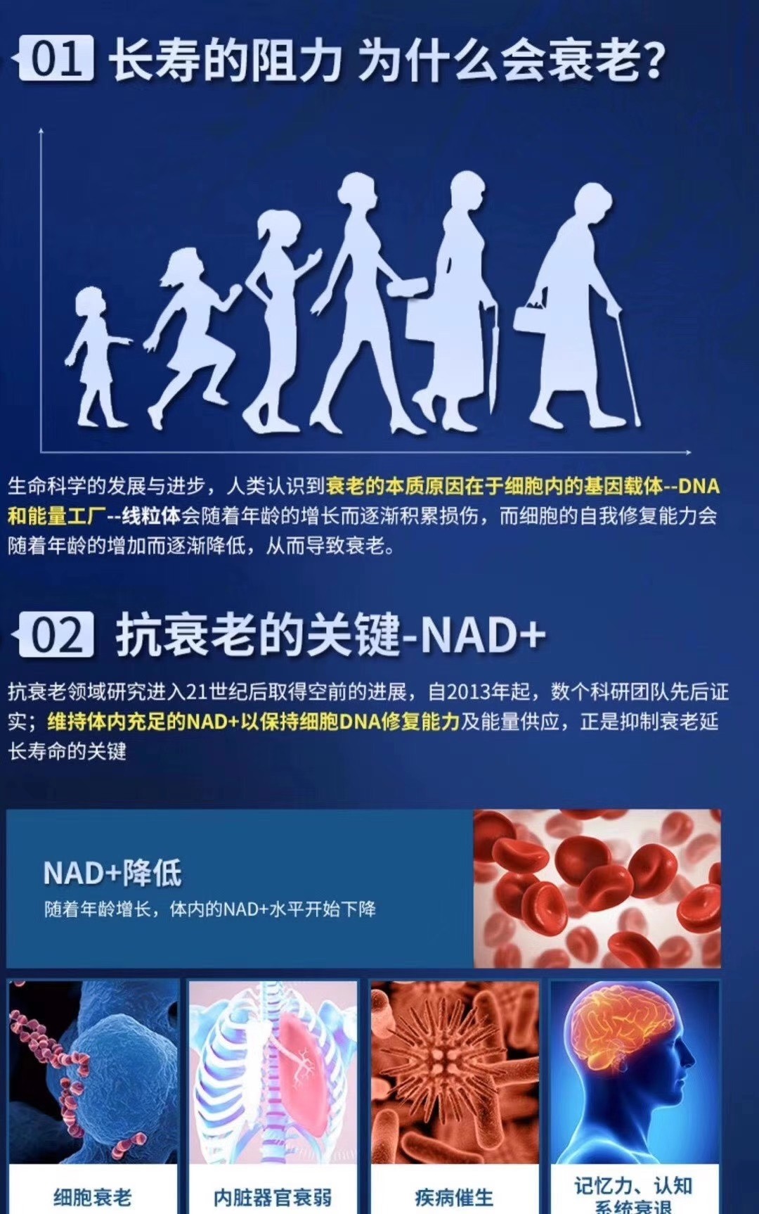 01长寿的阻力 为什么会衰老?02 抗衰老的关键-NAD+