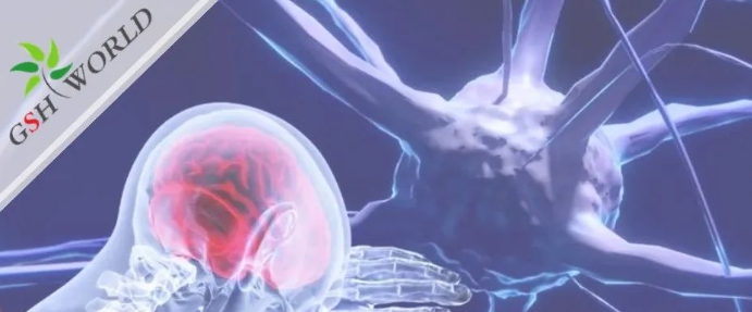 行业关注 - 谷胱甘肽在脑部疾病和衰老中的作用