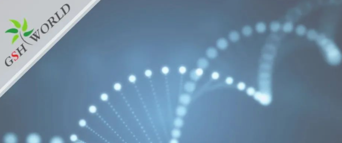 行业关注 - 胞磷胆碱保护大脑的7大好处