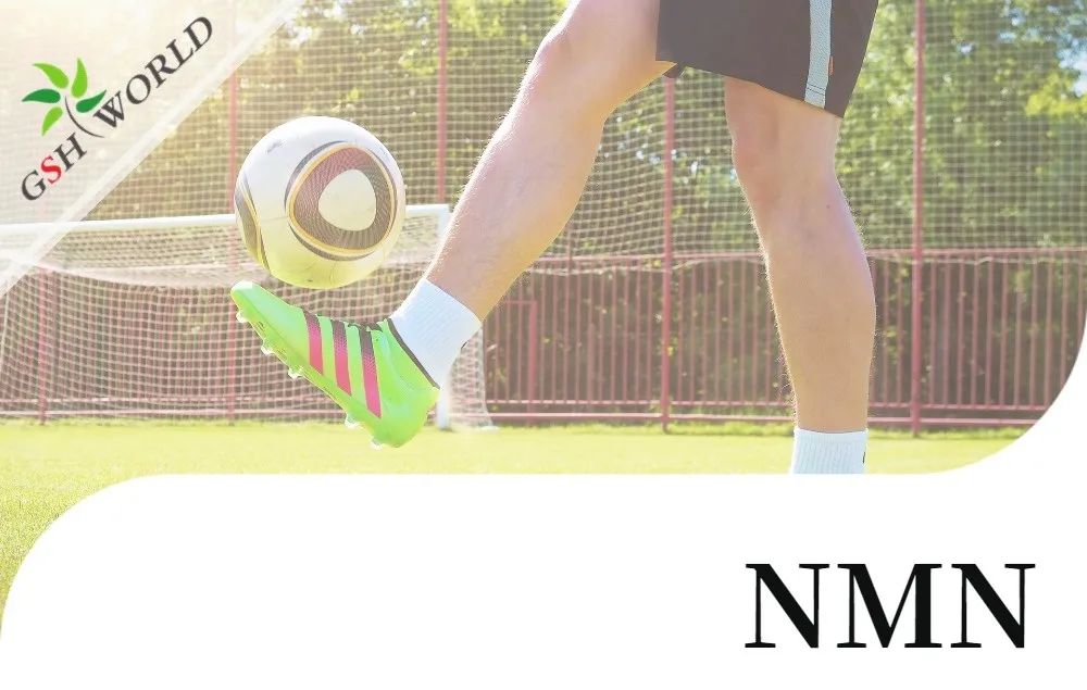 行业关注 - NMN对肌腱炎的抗氧化作用