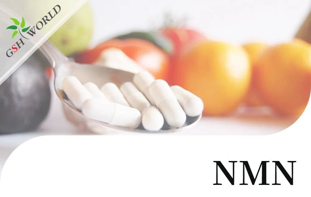 行业关注 - NMN潜在的抗衰老活性及其适用性