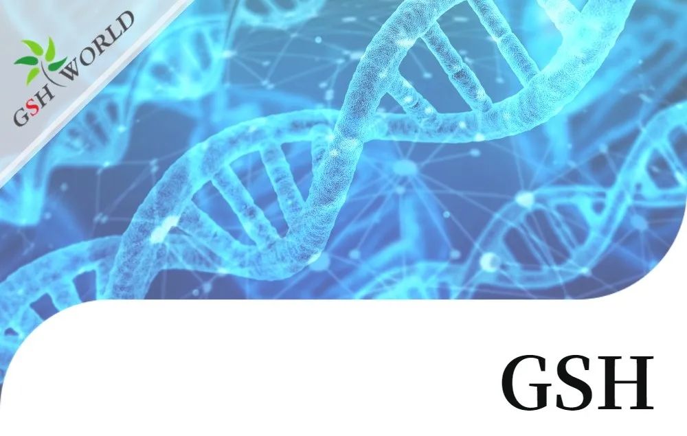 行业关注 - 谷胱甘肽结合几种不同抗癌化疗药物的生物学作用