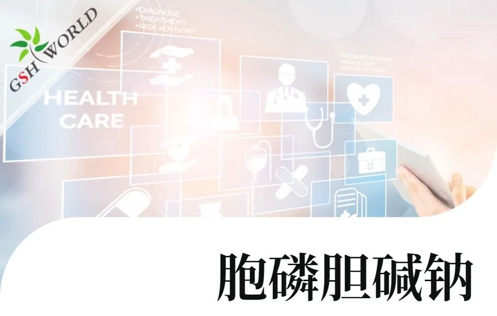 行业关注 - 胞磷胆碱钠对新冠导致相关认知衰退的潜在作用