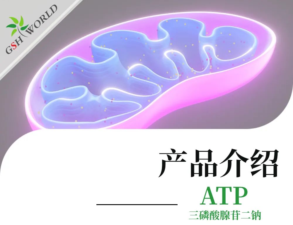 三磷酸腺苷二钠：生命能量的化学密码