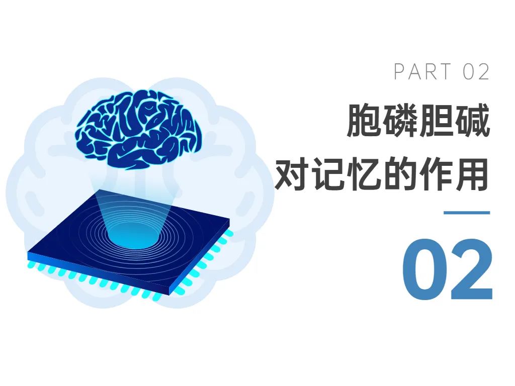 02胞磷胆碱对记忆的作用