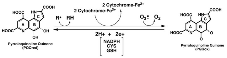 包含图片、插图等的外部文件。
对象名称为 biomolecules-11-01441-g001.jpg