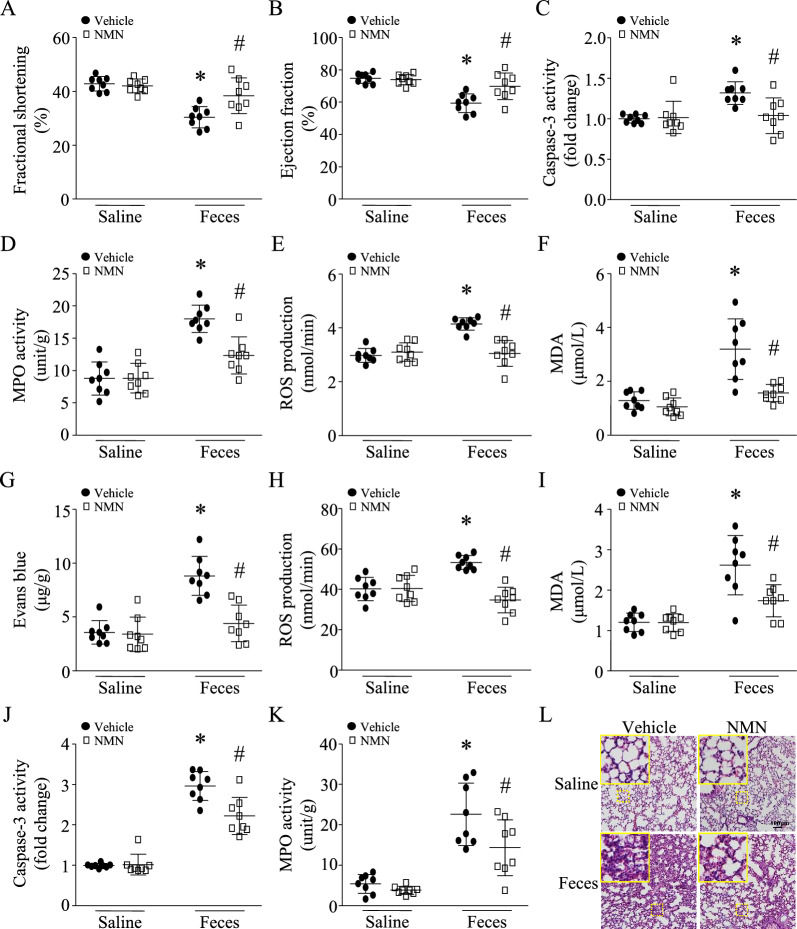 包含图片、插图等的外部文件。
对象名称为 12967_2023_4767_Fig2_HTML.jpg