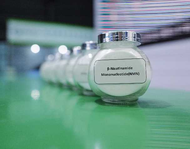 烟酰胺单核苷酸NMN