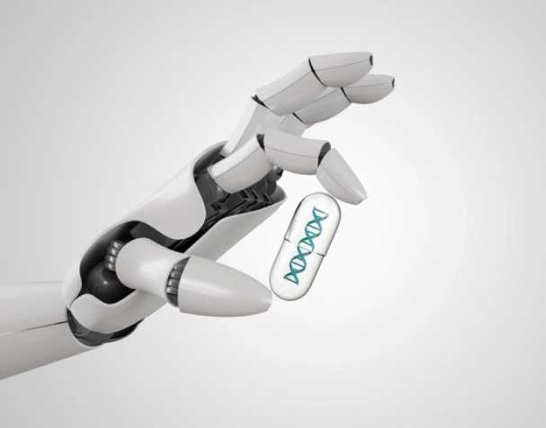 NMN对代谢的影响