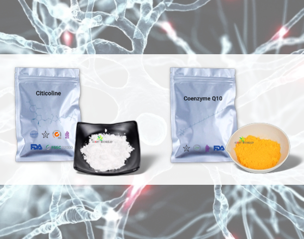胞磷胆碱与辅酶Q10的神经保护机制