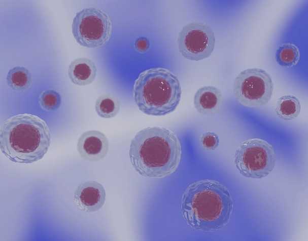 PQQ的结构与特性