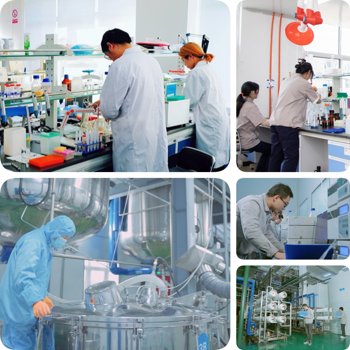 谷胱甘肽是怎么生产的？