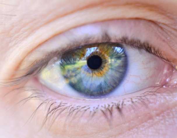 胞磷胆碱的作用机制