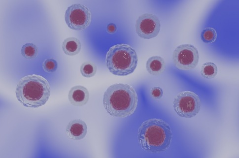 硫辛酸的独特作用与联合应用