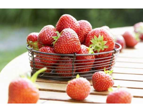 在维持果实营养品质方面，谷胱甘肽表现突出