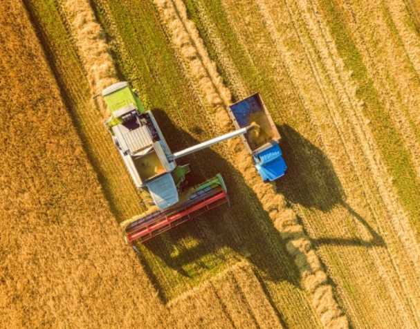 谷胱甘肽在多种非生物胁迫中的作用