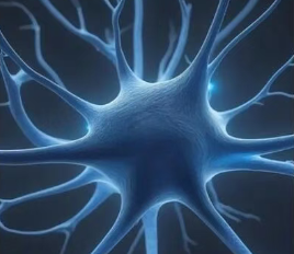 胞磷胆碱：神经膜的直接修复者