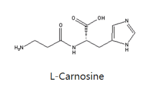 肌肽-化妆品中的应用