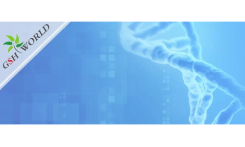 烟酰胺和nmn区别？烟酰胺单核苷酸(NMN) 的化合物