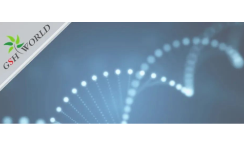 行业关注 - 胞磷胆碱保护大脑的7大好处