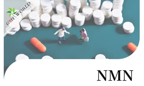 NMN(烟酰胺单核苷酸)的适用人群