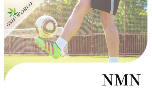 行业关注 - NMN对肌腱炎的抗氧化作用