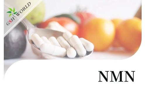 行业关注 - NMN潜在的抗衰老活性及其适用性