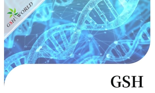 行业关注 - 谷胱甘肽结合几种不同抗癌化疗药物的生物学作用