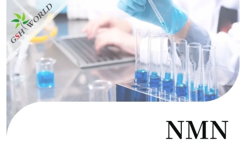 行业关注 - NMN最新研究进展