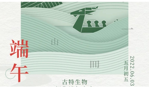 端午 - 争流而上，行舟踏浪