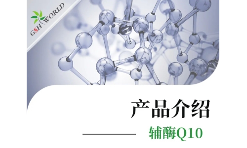 产品介绍 - 辅酶Q10——备受追捧的心脏保护神