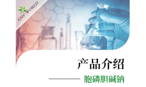 产品介绍 - 胞磷胆碱钠——被广泛应用的神经保护剂