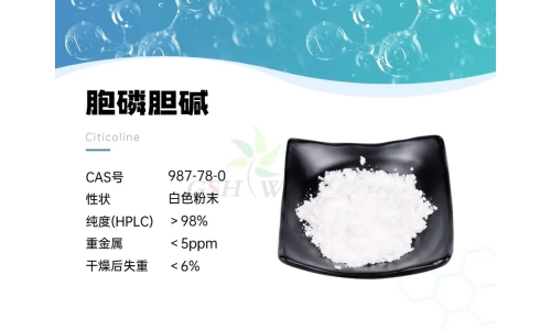 产品资讯 - 胞磷胆碱在视网膜病理学中的作用