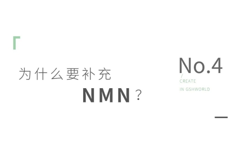 NMN——身体内的抗氧化剂、免疫调节剂和抗炎药