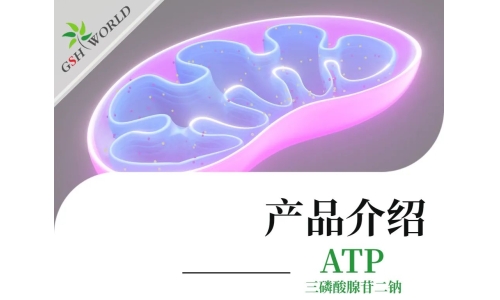 三磷酸腺苷二钠：生命能量的化学密码