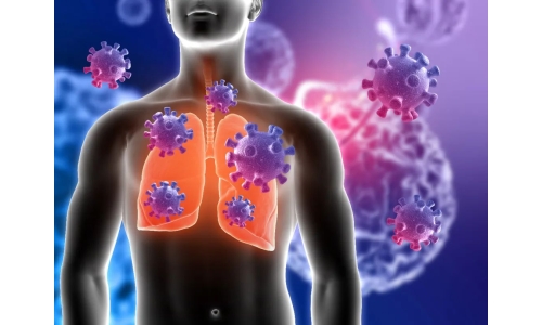 钟南山：6月底将迎来二阳高峰！危害更大？NMN能有效抵御“二阳”！