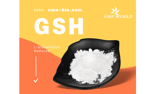 谷胱甘肽：一种多功能的抗氧化剂和解毒剂