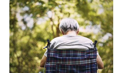 NMN对于老年人睡眠质量的影响