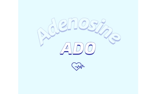 腺苷的心脏保护特性