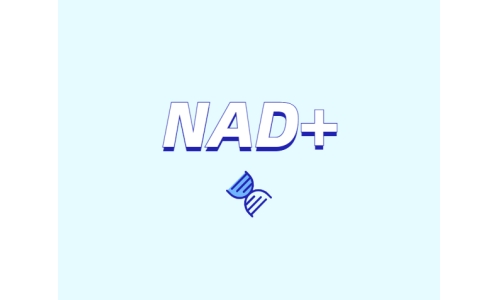 NAD+前体是如何缓解衰老的？