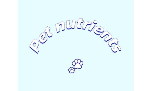 三种具有潜力的宠物营养素——PQQ、辅酶Q10以及S-腺苷甲硫氨酸