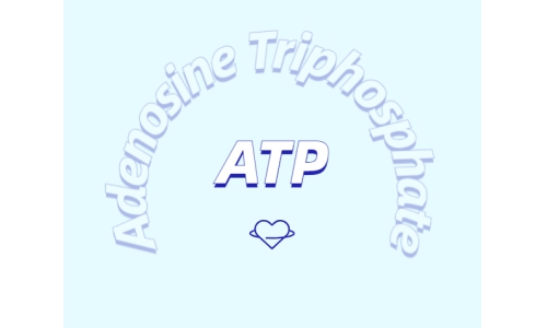 运动补剂新探索：ATP补充剂的优势