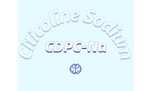 常见的健脑成分都有哪些?