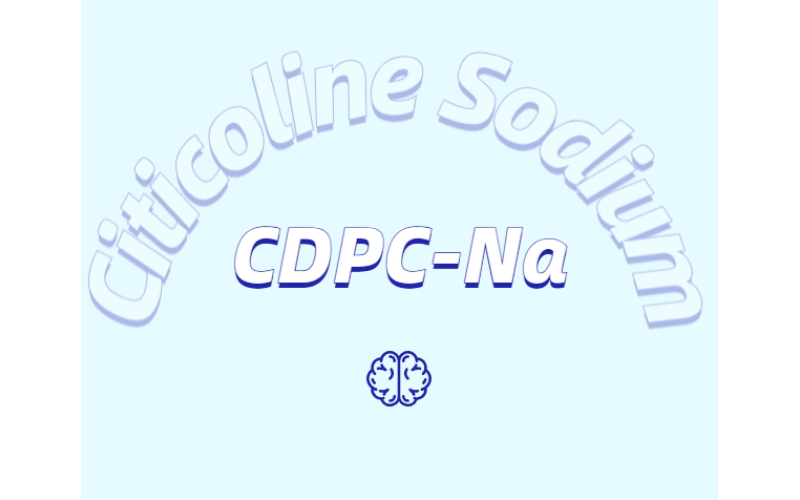 常见的健脑成分都有哪些?